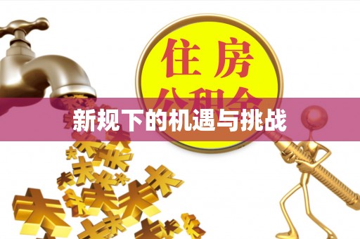 西屯新规下的机遇与挑战