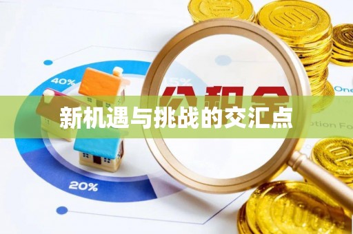 西屯新机遇与挑战的交汇点