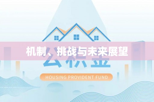 西屯机制、挑战与未来展望